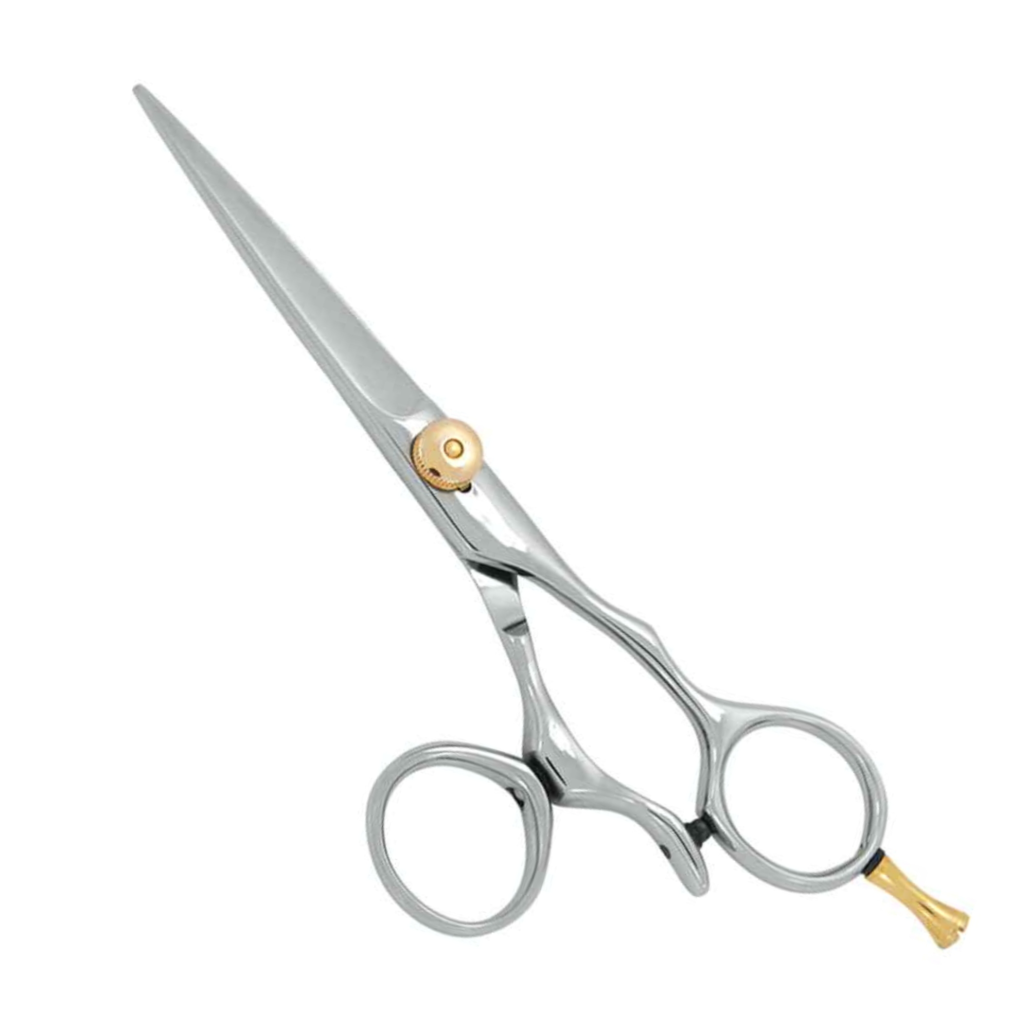 Professional Hair Cutting Shears