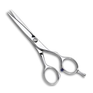 Professional Hair Cutting Shears