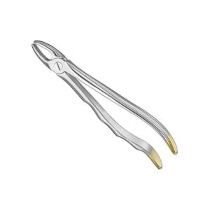 Professional Gold-Tipped Extraction Forceps | Surgical Stainless Steel
