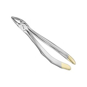 Professional Gold-Tipped Extraction Forceps | Model 197 Surgical Steel