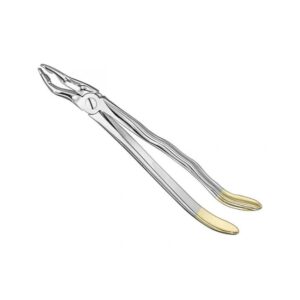 Professional Surgical Extraction Forceps | Stainless Steel Dental Series