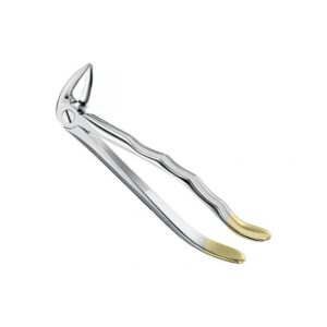 Professional Stainless Steel Extraction Forceps | Model 200 Surgical Series