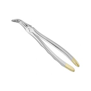 Professional Stainless Steel Extraction Forceps | Model 202 Surgical Series