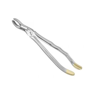 Professional Stainless Steel Extraction Forceps | Model 204 Surgical Series