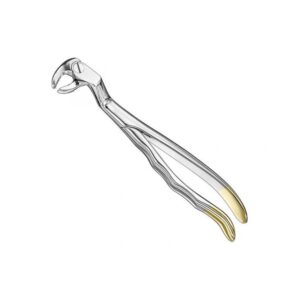 Professional Gold-Tipped Extraction Forceps | Model 208 Surgical Steel