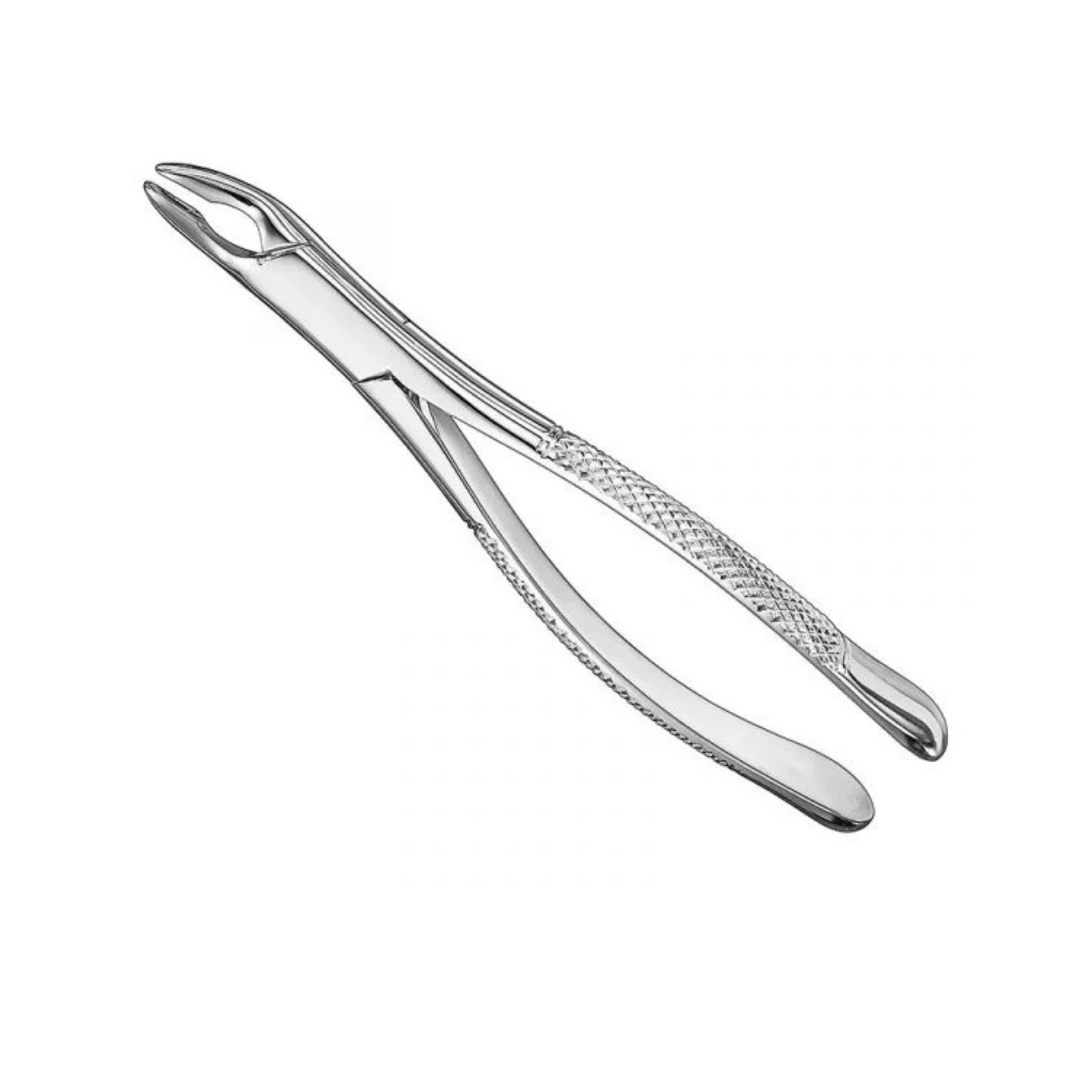 Professional Extraction Forceps Model 210 | Diamond-Grip Stainless Steel
