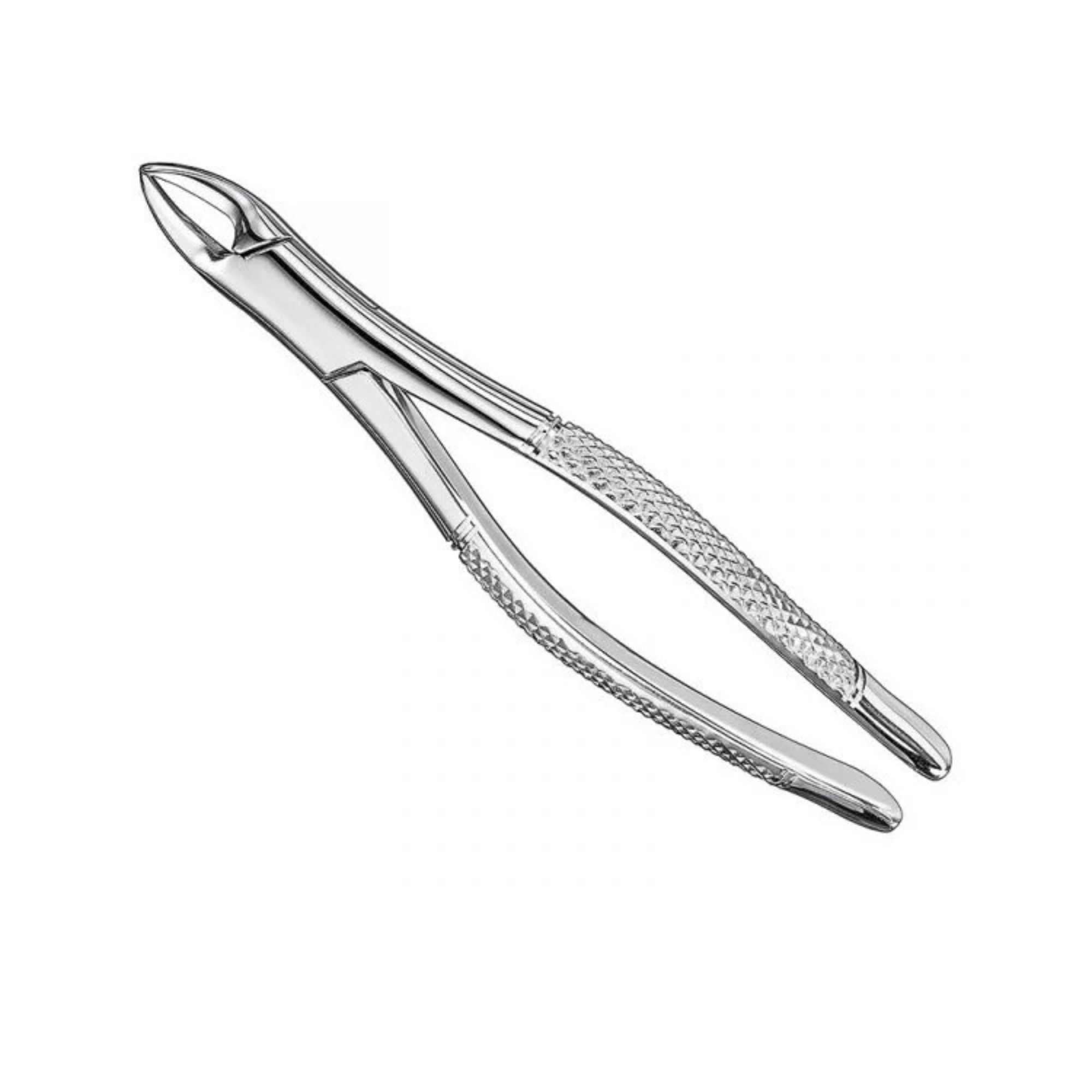 Professional Extraction Forceps Model 211 | High-Grip Stainless Steel