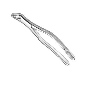 Professional Extraction Forceps Model 212 | High-Grip Stainless Steel