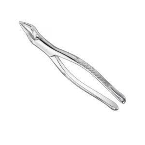Professional Extraction Forceps Model 213 | High-Grip Stainless Steel