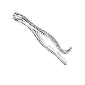 Professional Extraction Forceps Model 214 | Diamond-Grip Stainless Steel