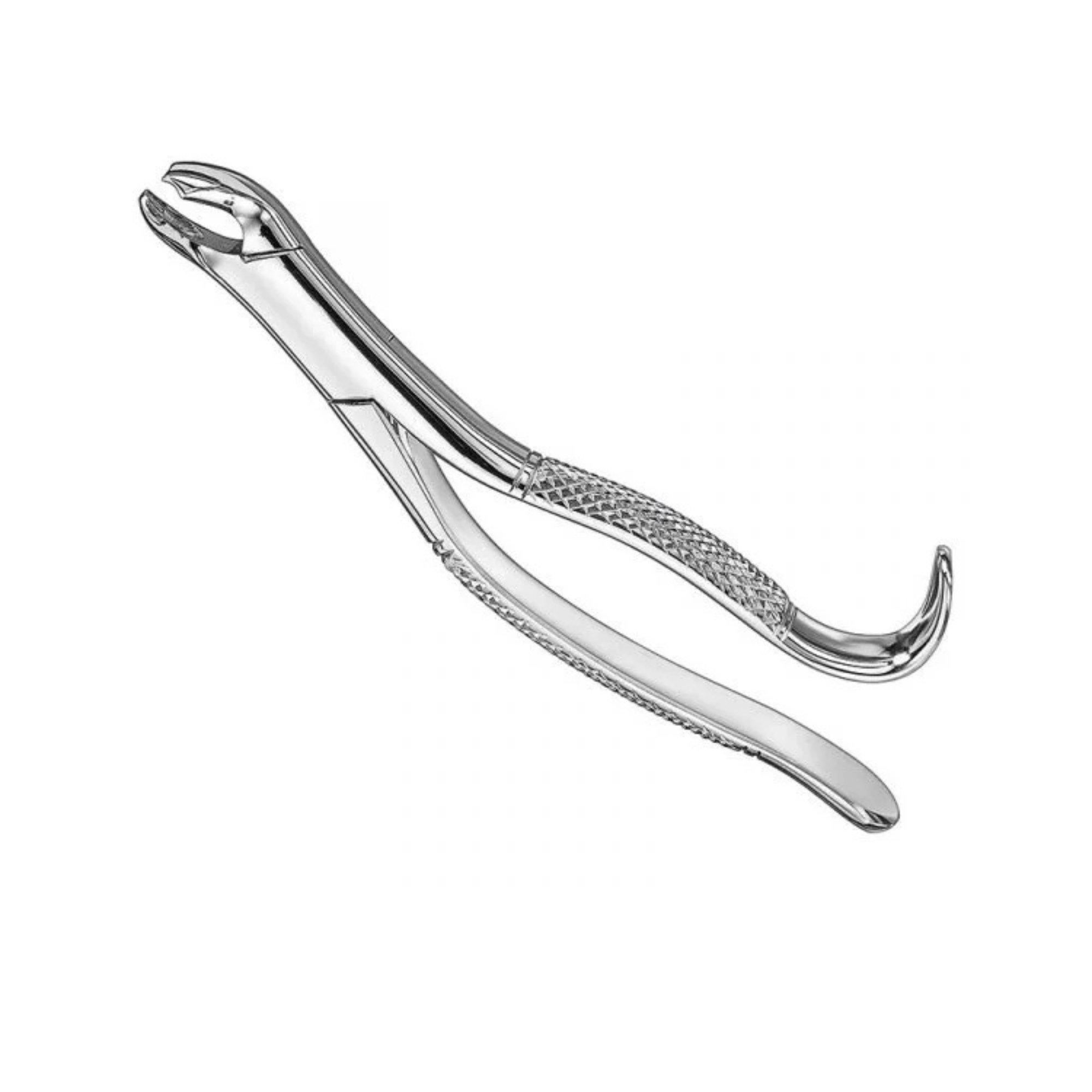 Premium Gold-Tipped Surgical Extraction Forceps | Dental Series