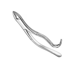 Diamond-Grip Extraction Forceps | Professional Surgical Stainless Steel