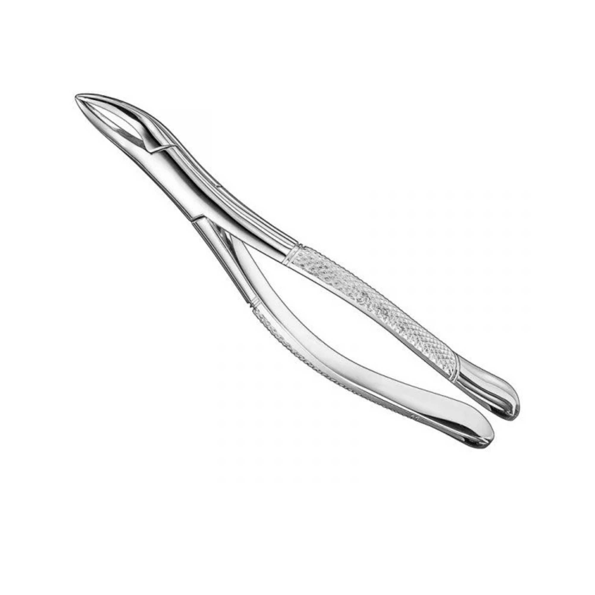 Professional Diamond-Grip Extraction Forceps | Surgical Stainless Steel