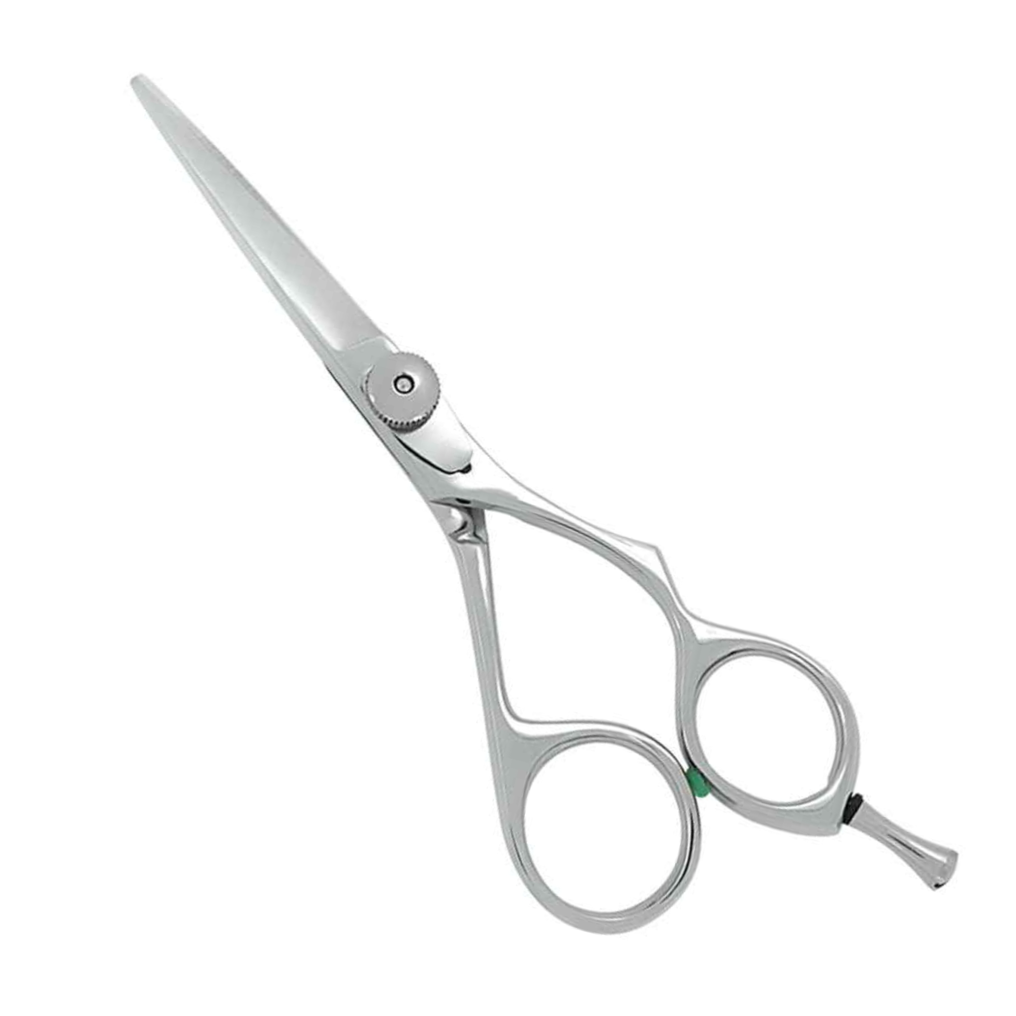 Professional Stainless Steel Hair Shears