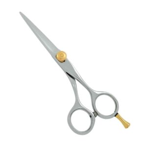 Professional Hair Dressing Scissors