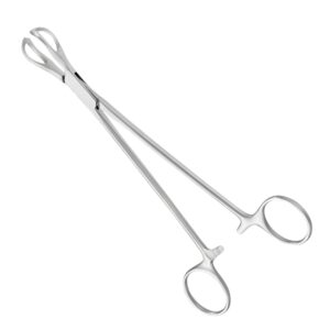 Lane Organ-Holding Forceps – Heavy-Duty Stainless Steel Surgical Clamp