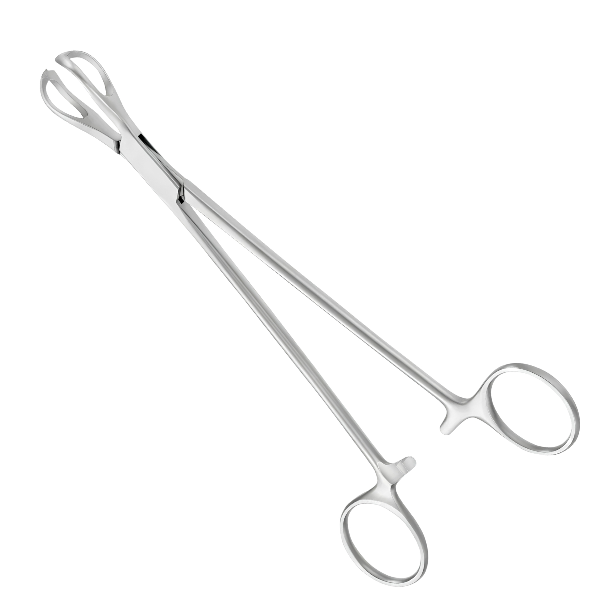 Lane Organ-Holding Forceps – Heavy-Duty Stainless Steel Surgical Clamp