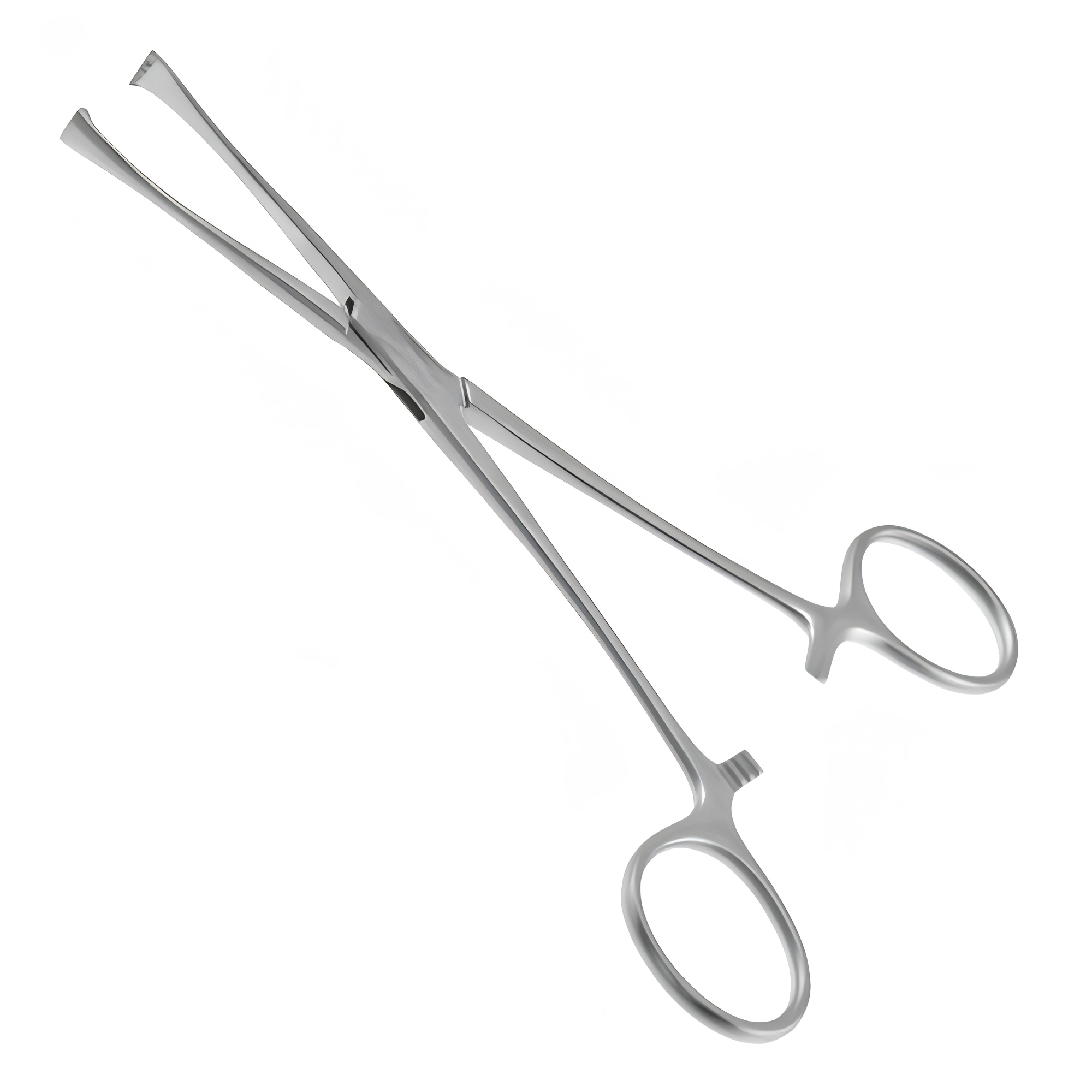 Backhaus Towel Clamp 5.25" – Stainless Steel Surgical Drape Holder
