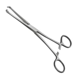 Allis Tissue Forceps 6" – Stainless Steel Surgical Clamp with 4x5 Teeth