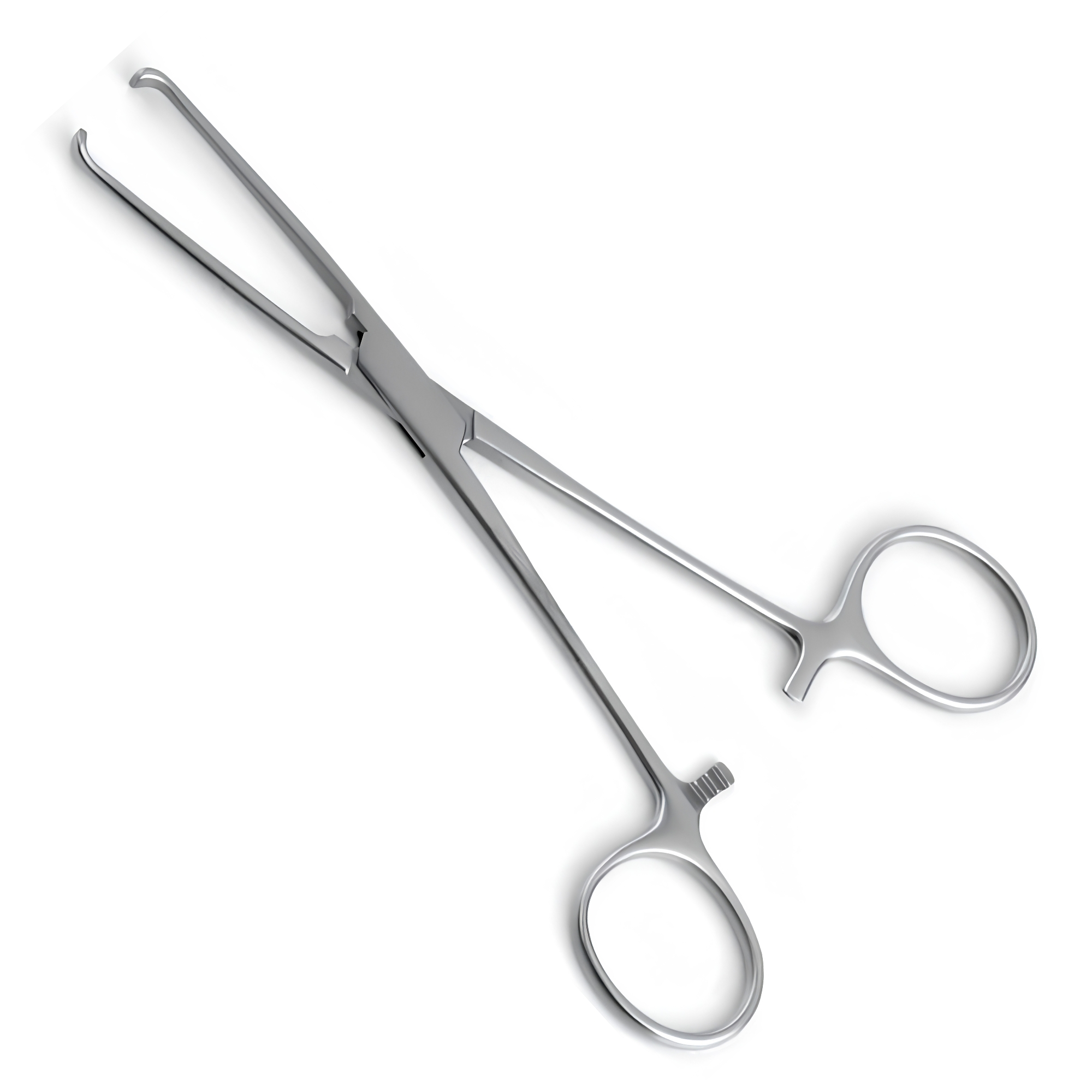 Allis Tissue Forceps 6" – Stainless Steel Surgical Clamp with 3x4 Teeth