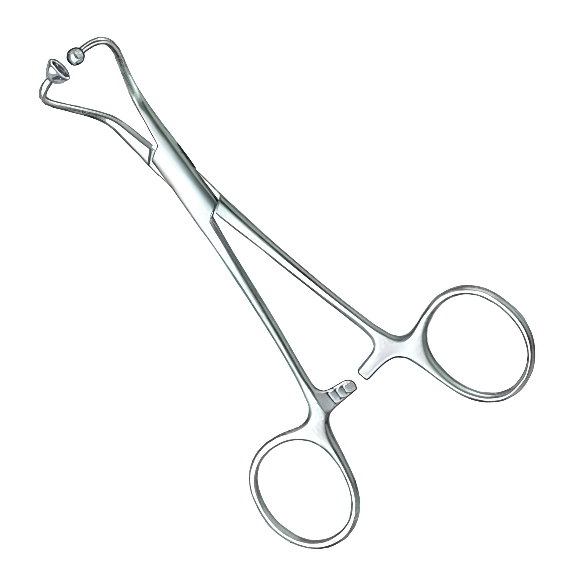 Allis Tissue Forceps – Stainless Steel Surgical Graping Clamp